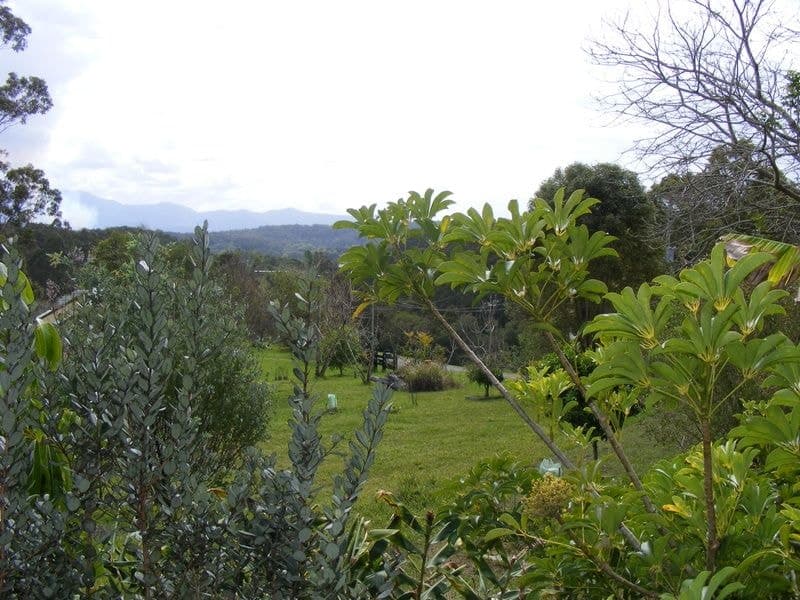50 McDougall Place Fernmount BELLINGEN NSW, Bellingen - Thumbnail 4