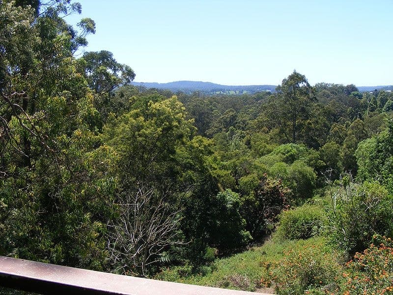 11 Martins Road BELLINGEN NSW, Bellingen - Image 1