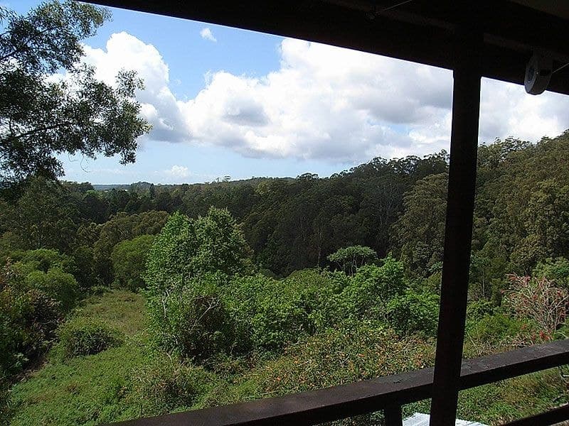 11 Martins Road BELLINGEN NSW, Bellingen - Thumbnail 5