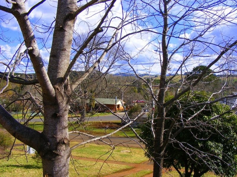 103 Hickory Street Dorrigo BELLINGEN NSW, Bellingen - Thumbnail 7