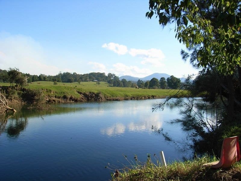 1231 South Arm Road BELLINGEN NSW, Bellingen - Image 1