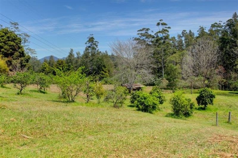 1690 Kalang Rd Kalang BELLINGEN NSW, Bellingen - Thumbnail 3
