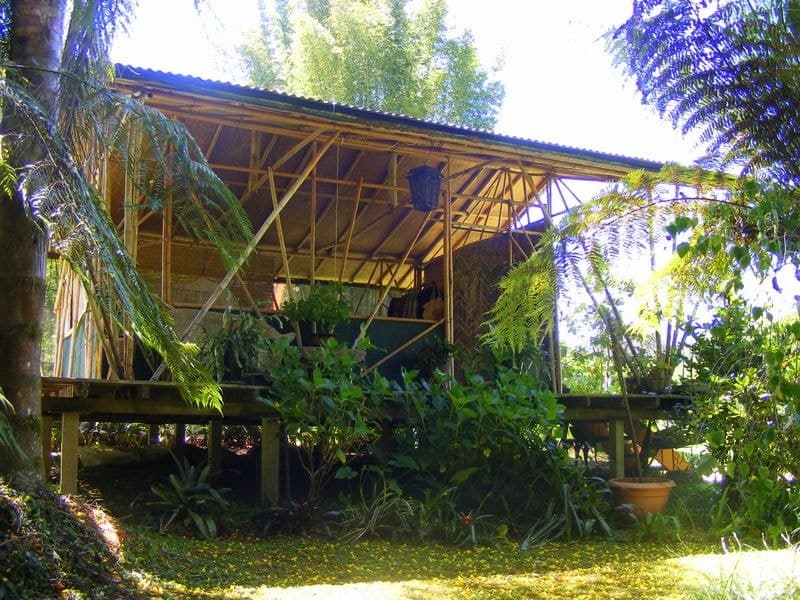 1772 Kalang Road Kalang BELLINGEN NSW, Bellingen - Thumbnail 7