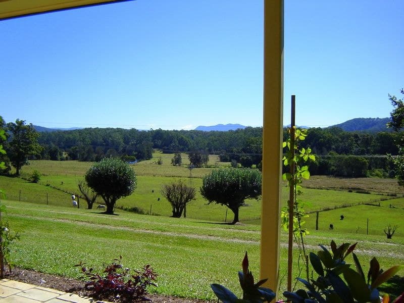 379 Martells Road BELLINGEN NSW, Bellingen - Image 1