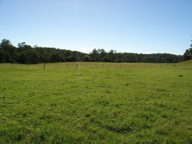 379 Martells Road BELLINGEN NSW, Bellingen - Thumbnail 5