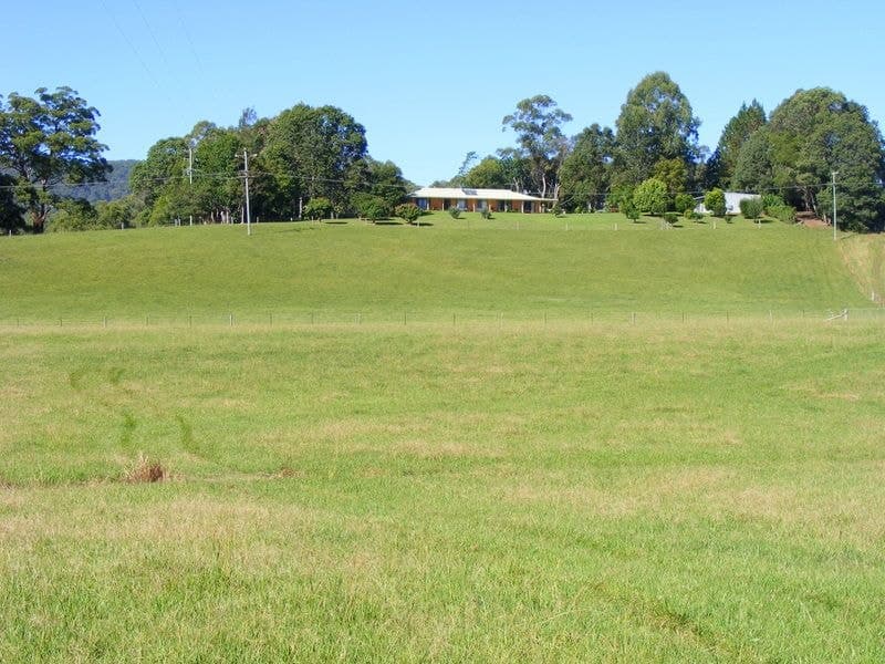 379 Martells Road BELLINGEN NSW, Bellingen - Thumbnail 7