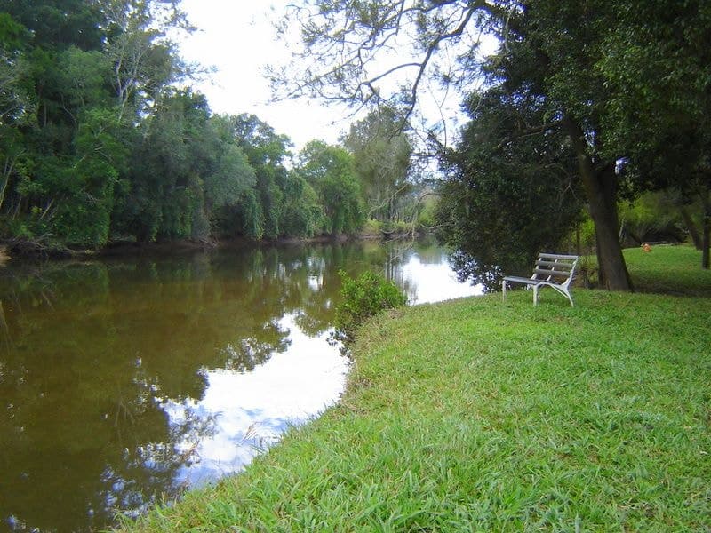 379 Martells Road BELLINGEN NSW, Bellingen - Thumbnail 8