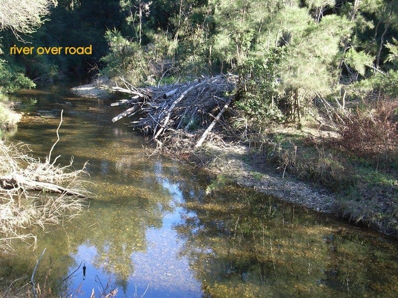 1245 Kalang Road BELLINGEN NSW, Bellingen - Thumbnail 4