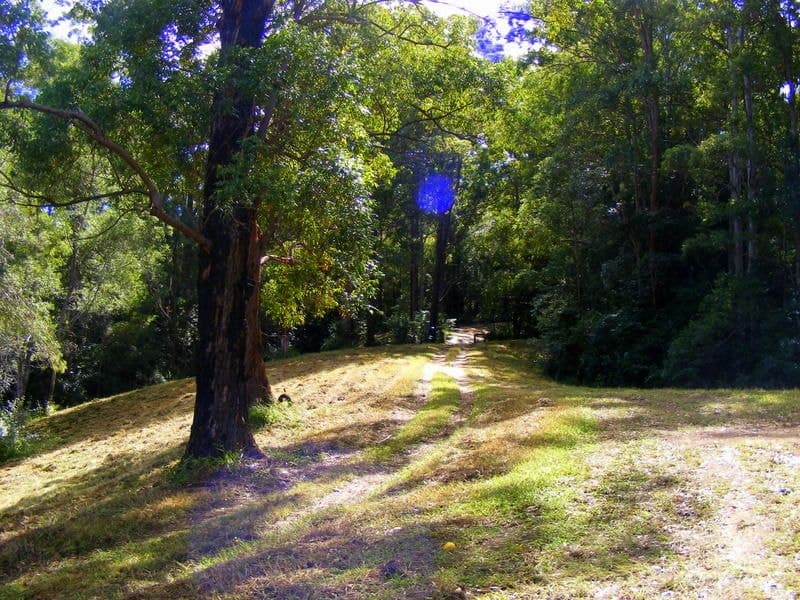 Lot 1 133 Timboon Rd BELLINGEN NSW, Bellingen - Thumbnail 7