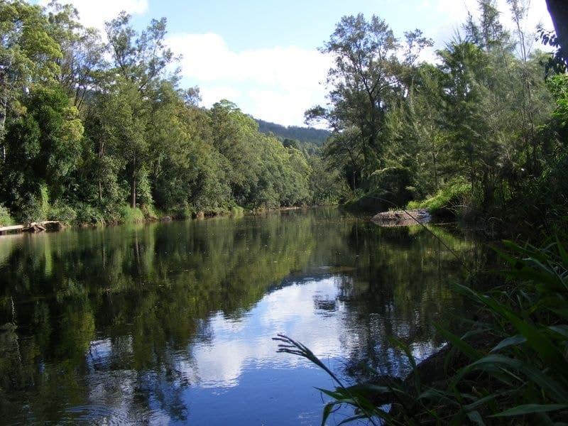 15 Red Gum Crs BELLINGEN NSW, Bellingen - Thumbnail 3