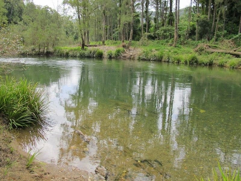 1211 Darkwood Road, Thora BELLINGEN NSW, Bellingen - Thumbnail 2