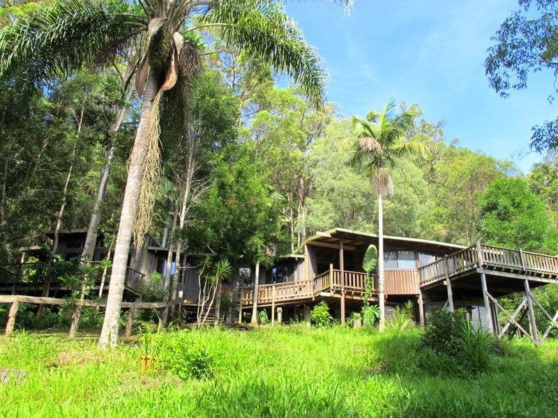 1211 Darkwood Road, Thora BELLINGEN NSW, Bellingen - Thumbnail 3