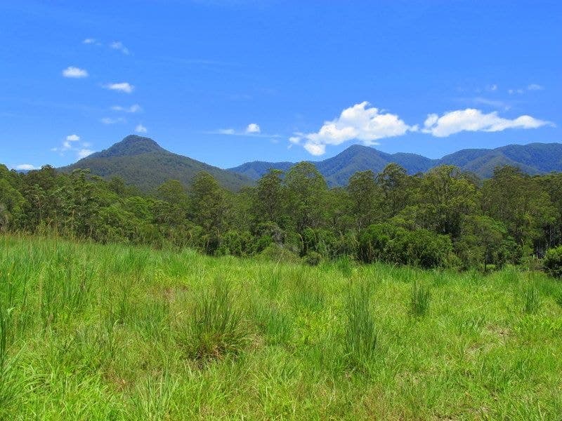 603 Roses Road BELLINGEN NSW, Bellingen - Image 1