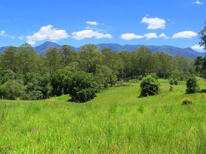 603 Roses Road BELLINGEN NSW, Bellingen - Thumbnail 2