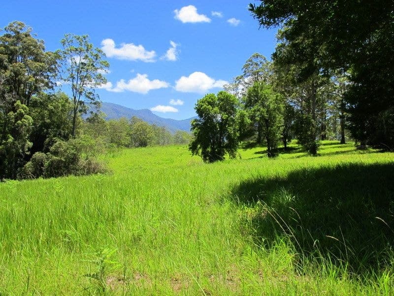 603 Roses Road BELLINGEN NSW, Bellingen - Thumbnail 3