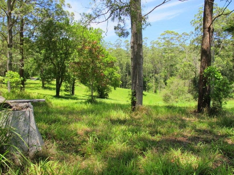603 Roses Road BELLINGEN NSW, Bellingen - Thumbnail 4