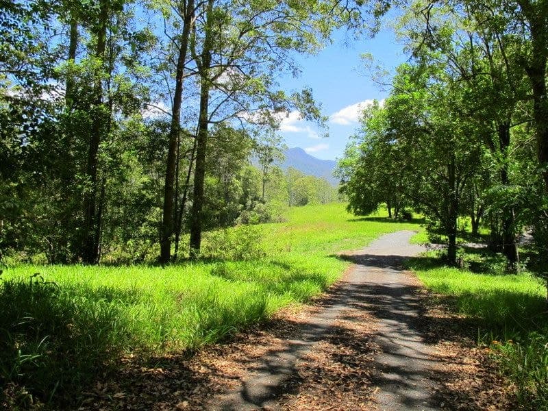 603 Roses Road BELLINGEN NSW, Bellingen - Thumbnail 5