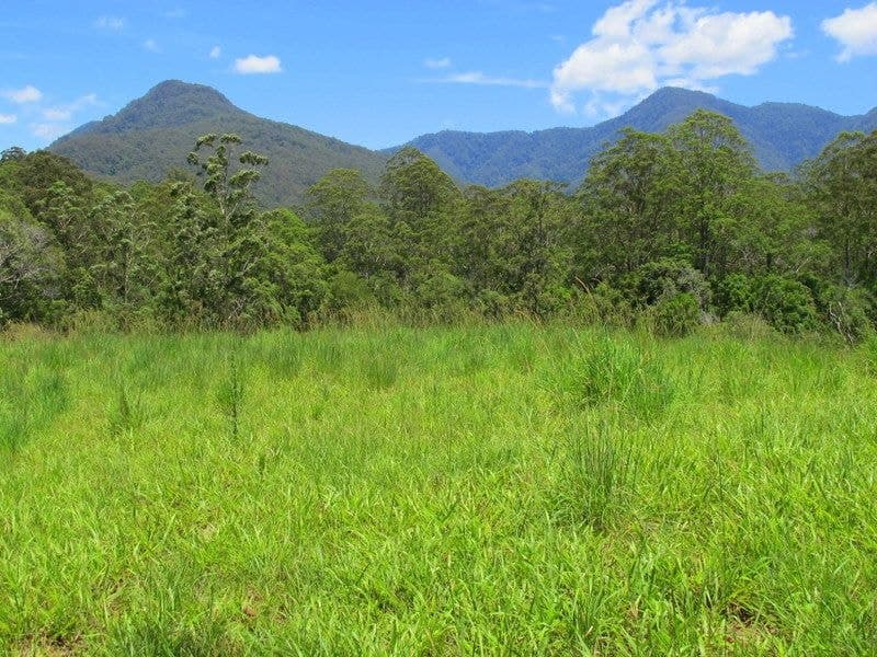 603 Roses Road BELLINGEN NSW, Bellingen - Thumbnail 6