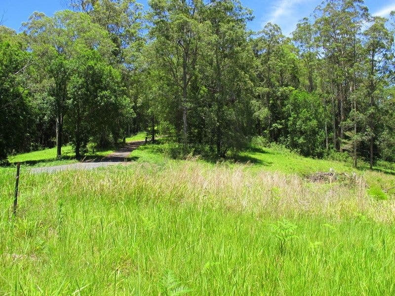 603 Roses Road BELLINGEN NSW, Bellingen - Thumbnail 8