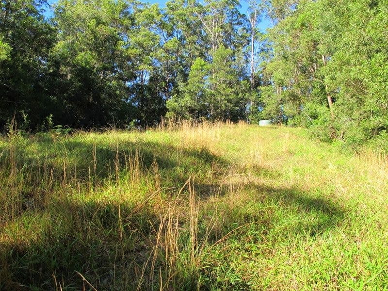 01690 0Bowraville Road BELLINGEN NSW, Bellingen - Thumbnail 2