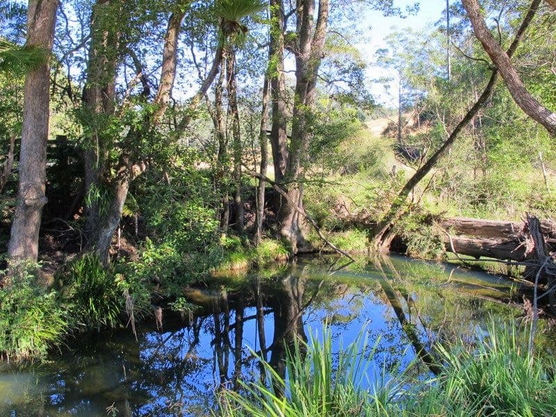 01690 0Bowraville Road BELLINGEN NSW, Bellingen - Thumbnail 3