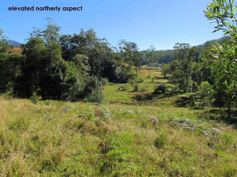 01690 0Bowraville Road BELLINGEN NSW, Bellingen - Thumbnail 5