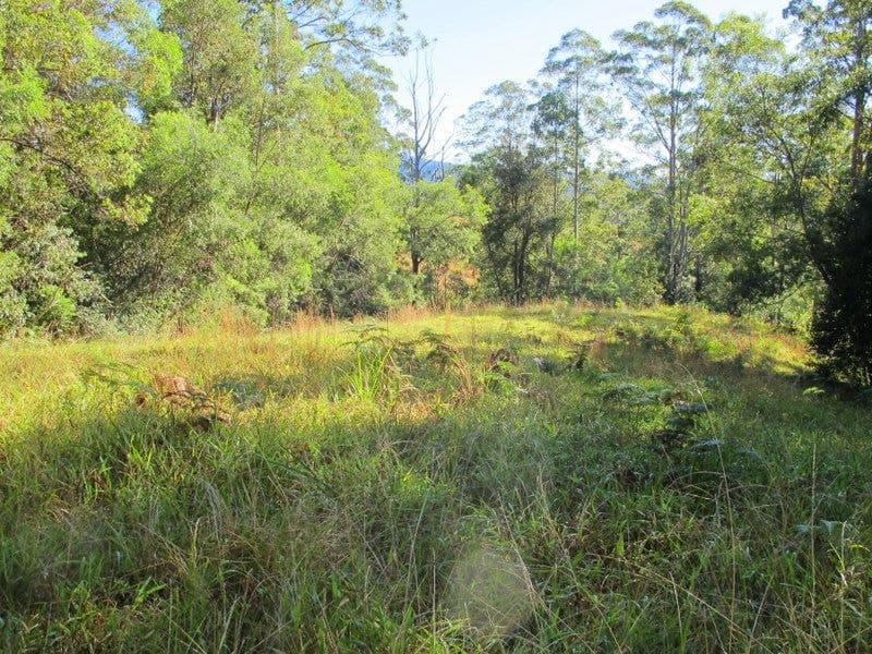 01690 0Bowraville Road BELLINGEN NSW, Bellingen - Thumbnail 6