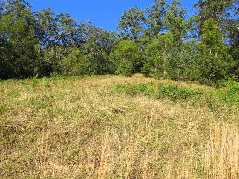 01690 0Bowraville Road BELLINGEN NSW, Bellingen - Thumbnail 7
