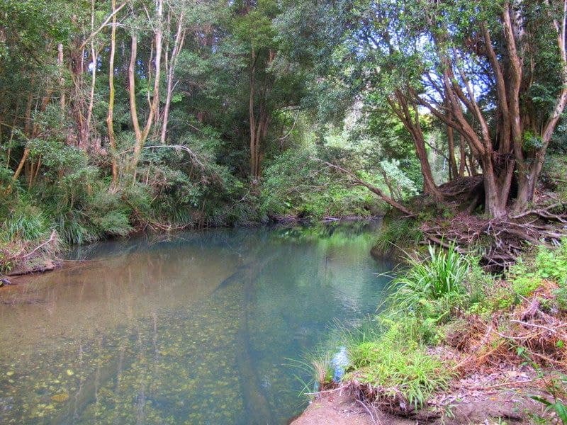 1970 Kalang Road BELLINGEN NSW, Bellingen - Thumbnail 3