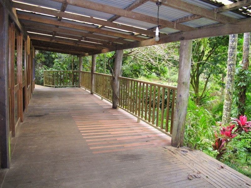 1970 Kalang Road BELLINGEN NSW, Bellingen - Thumbnail 8