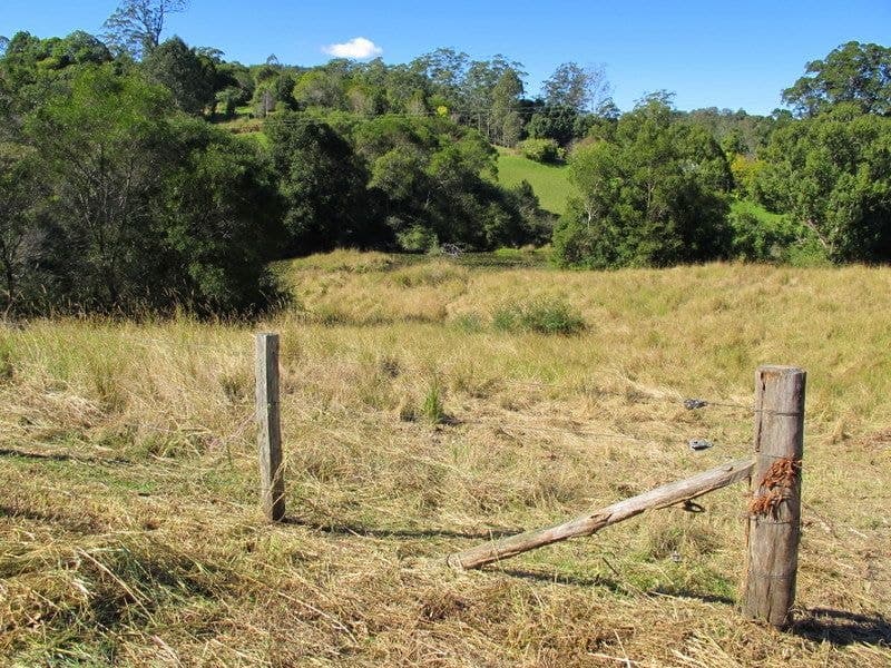 20 Rigney Road BELLINGEN NSW, Bellingen - Thumbnail 4