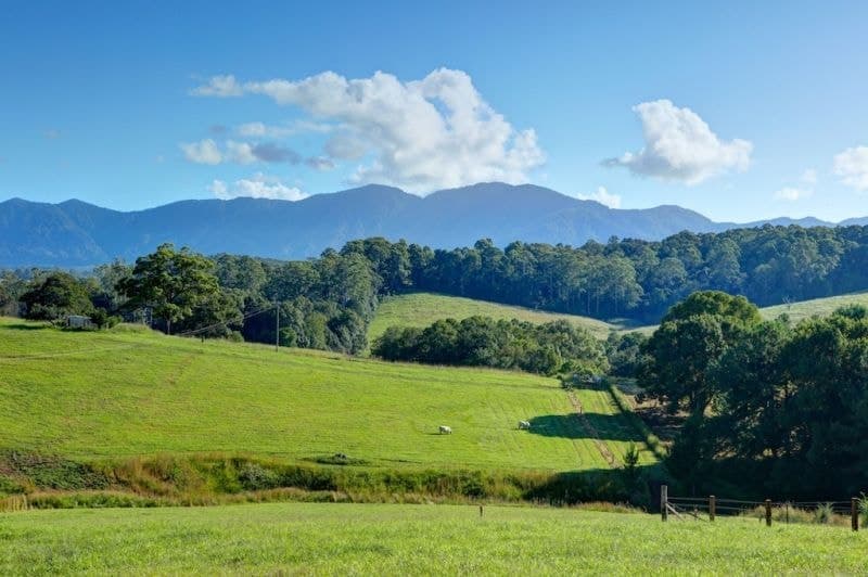 Lot 1, 197 North Bank Rd BELLINGEN NSW, Bellingen - Image 1