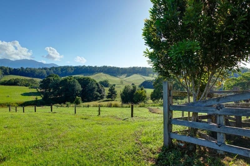 Lot 1, 197 North Bank Rd BELLINGEN NSW, Bellingen - Thumbnail 2