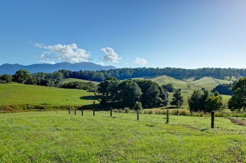 Lot 1, 197 North Bank Rd BELLINGEN NSW, Bellingen - Thumbnail 3