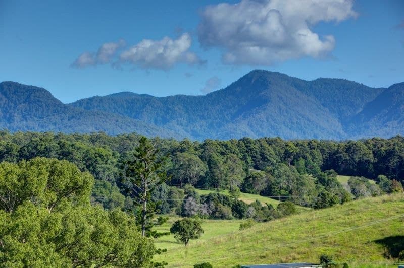 Lot 1, 197 North Bank Rd BELLINGEN NSW, Bellingen - Thumbnail 8