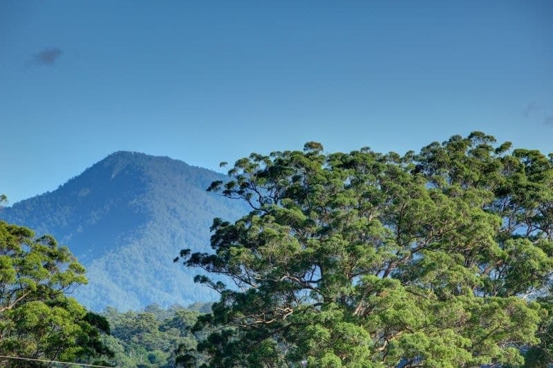 Lot 2 197 North Bank Rd BELLINGEN NSW, Bellingen - Thumbnail 4