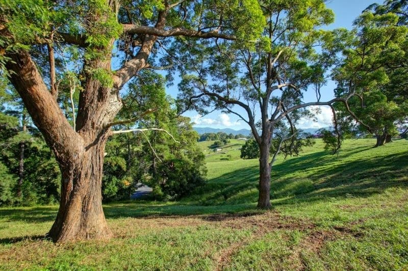 Lot 2 197 North Bank Rd BELLINGEN NSW, Bellingen - Thumbnail 7