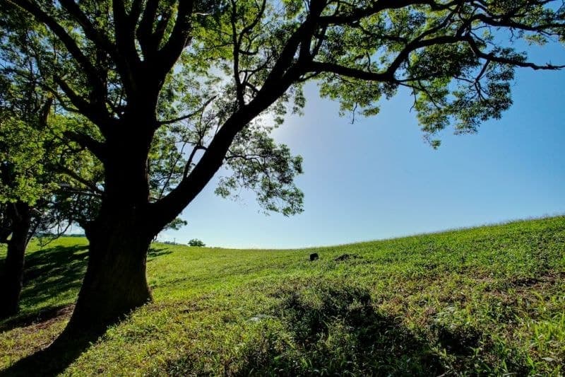 Lot 2 197 North Bank Rd BELLINGEN NSW, Bellingen - Thumbnail 8