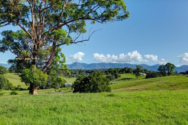 Lot 3 197 North Bank Rd BELLINGEN NSW, Bellingen - Image 1
