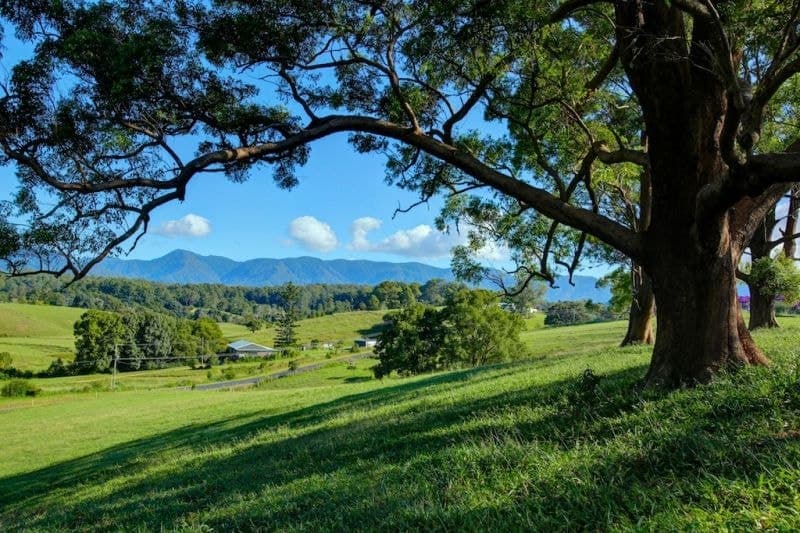 Lot 3 197 North Bank Rd BELLINGEN NSW, Bellingen - Thumbnail 3