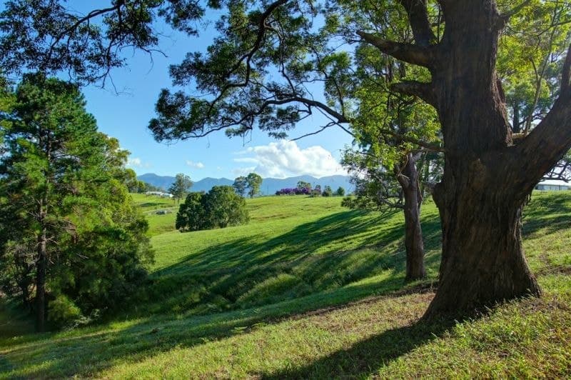 Lot 3 197 North Bank Rd BELLINGEN NSW, Bellingen - Thumbnail 5