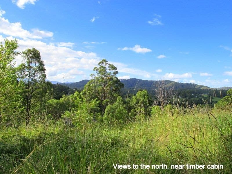141 Martells Road BELLINGEN NSW, Bellingen - Image 1
