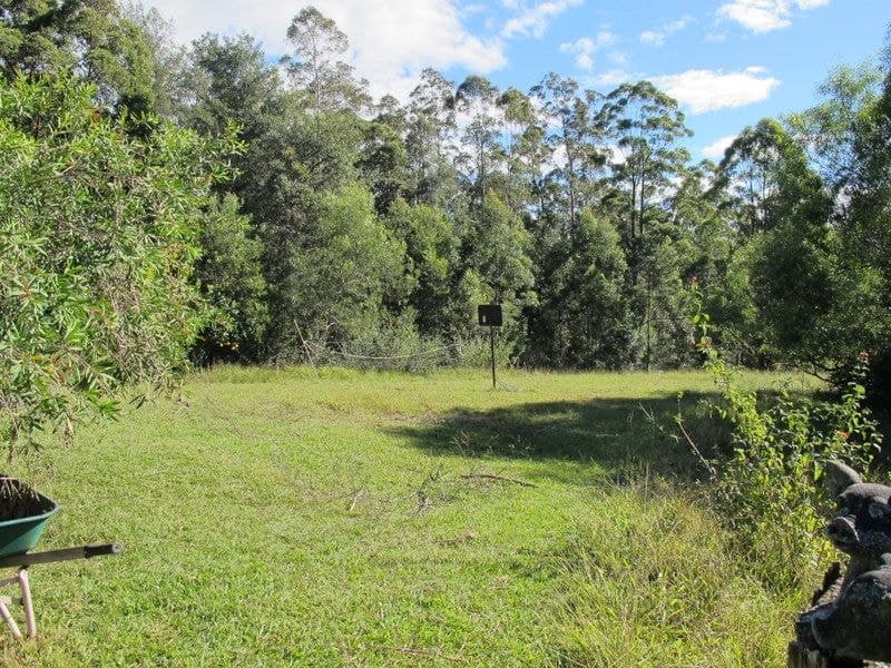 141 Martells Road BELLINGEN NSW, Bellingen - Thumbnail 6