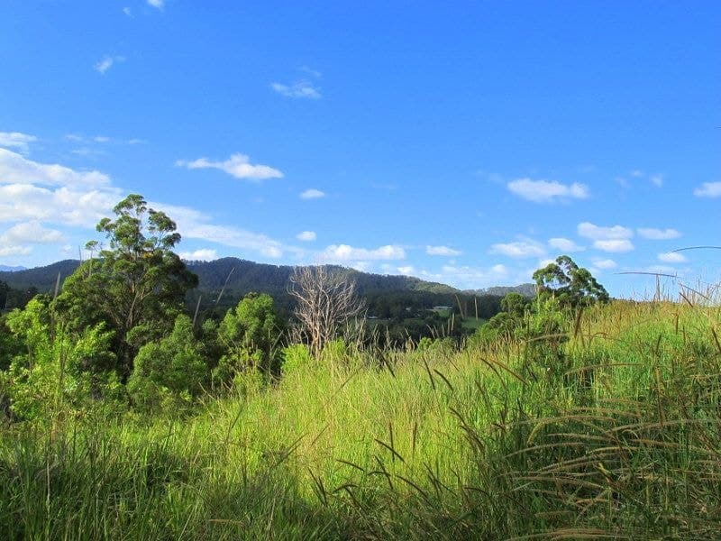 141 Martells Road BELLINGEN NSW, Bellingen - Thumbnail 8