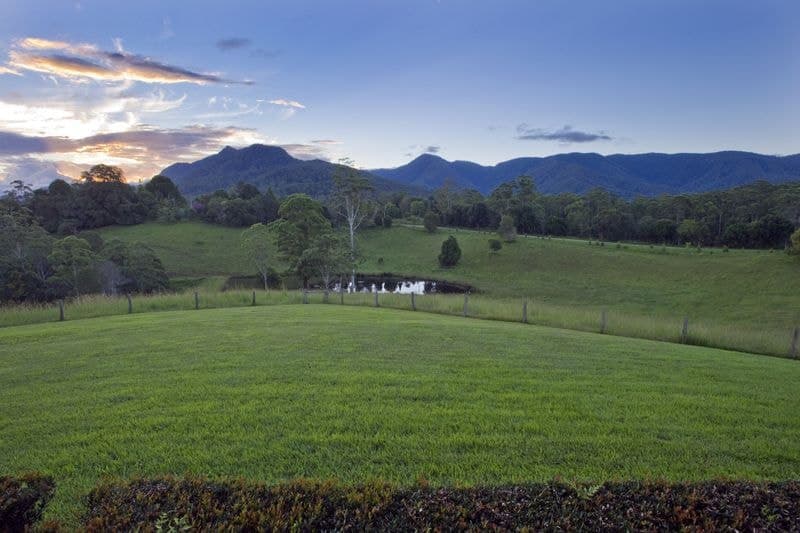 490 Roses Road BELLINGEN NSW, Bellingen - Thumbnail 6