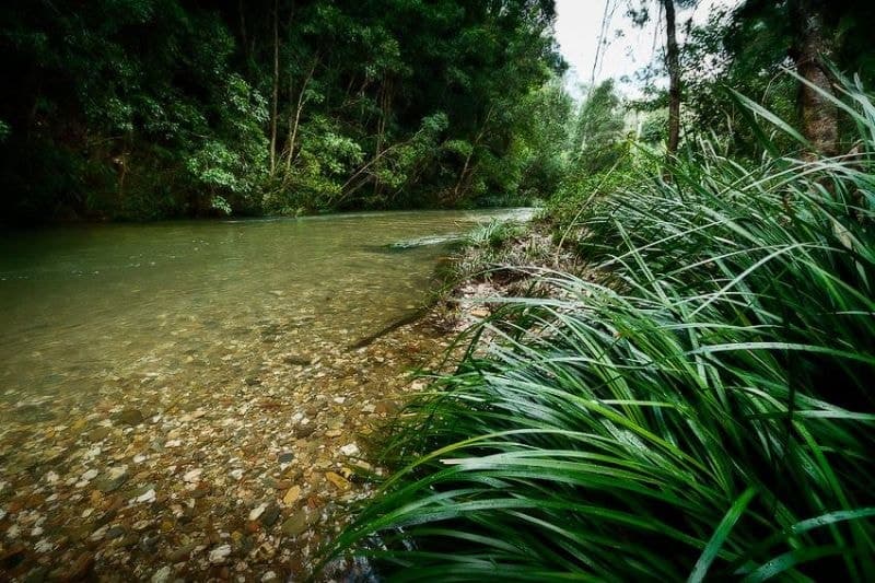 2012 Kalang Road BELLINGEN NSW, Bellingen - Thumbnail 3