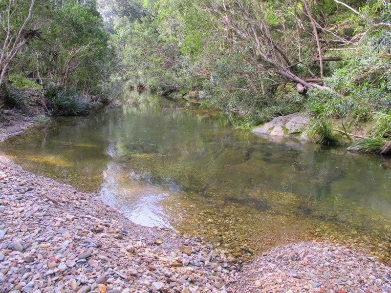 1938 Kalang Road BELLINGEN NSW, Bellingen - Thumbnail 2