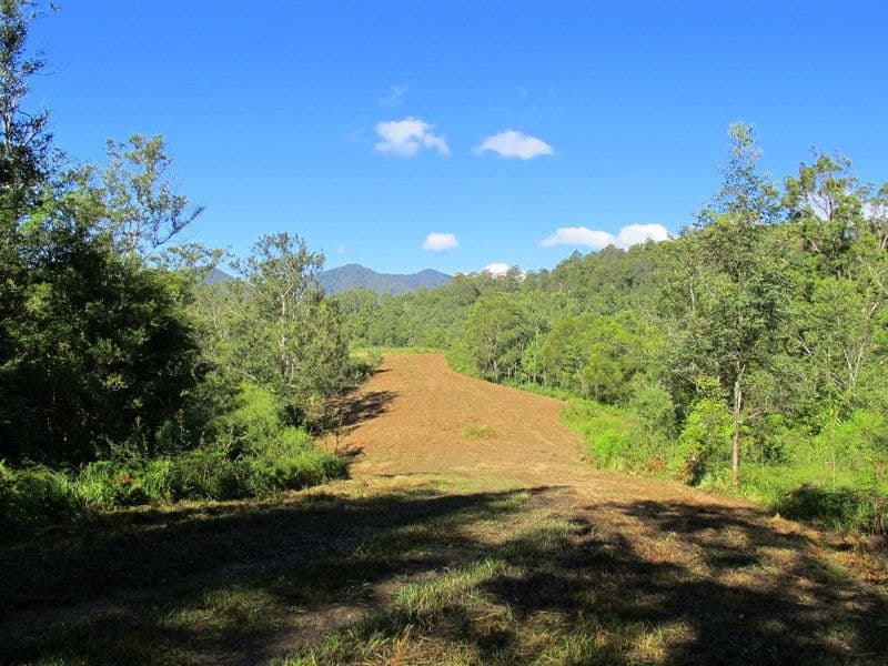 1938 Kalang Road BELLINGEN NSW, Bellingen - Thumbnail 4