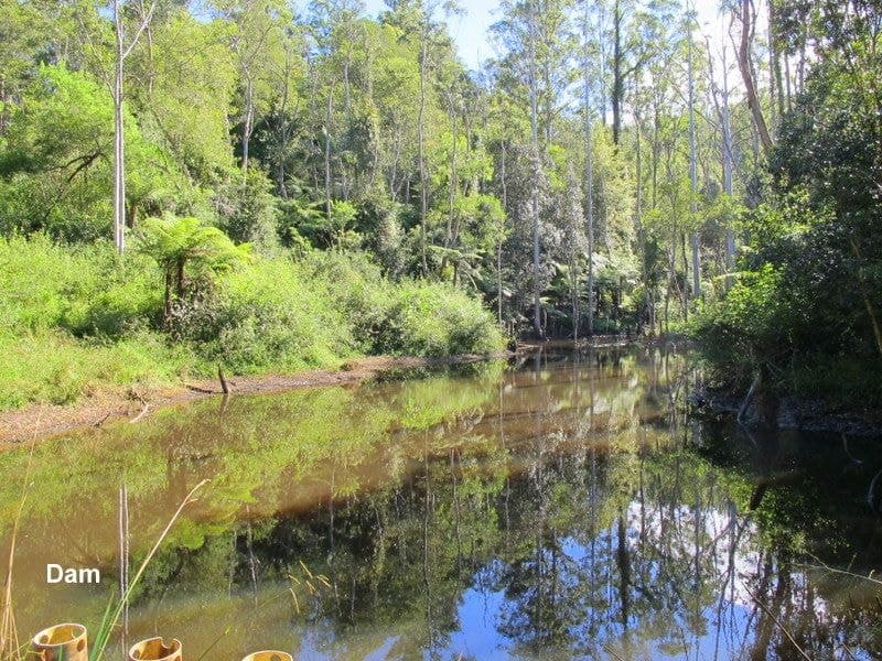 1938 Kalang Road BELLINGEN NSW, Bellingen - Thumbnail 7