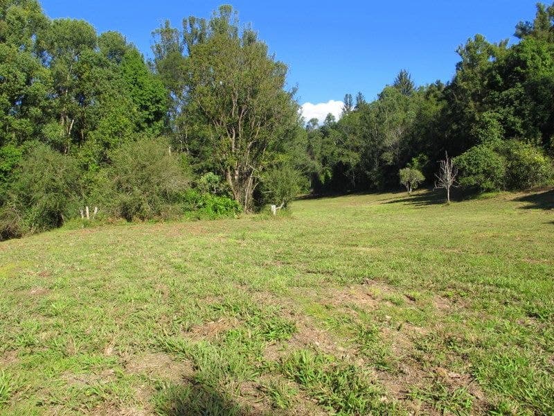 1624 Kalang Rd BELLINGEN NSW, Bellingen - Thumbnail 2